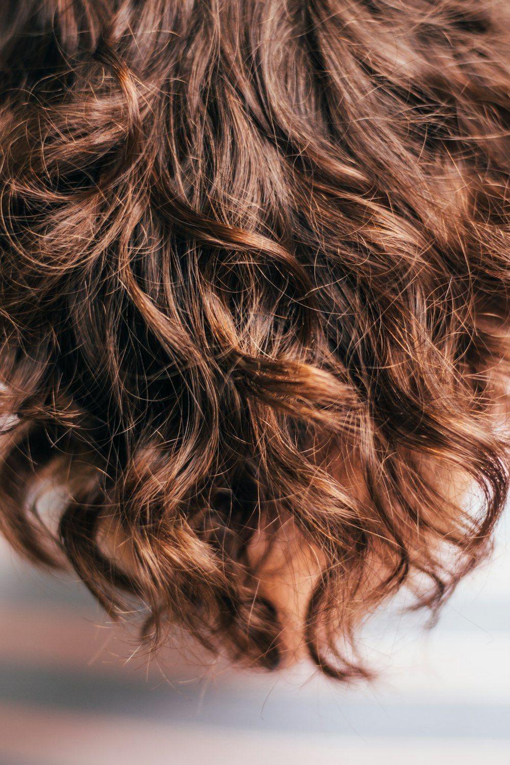 Rich, dimensional warm brunette hair